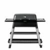 Everdure Furnace Gas Grill – HBG3 2 Everdure Furnace Gas Grill – HBG3 -outdoor kitchen shop Furnace 1